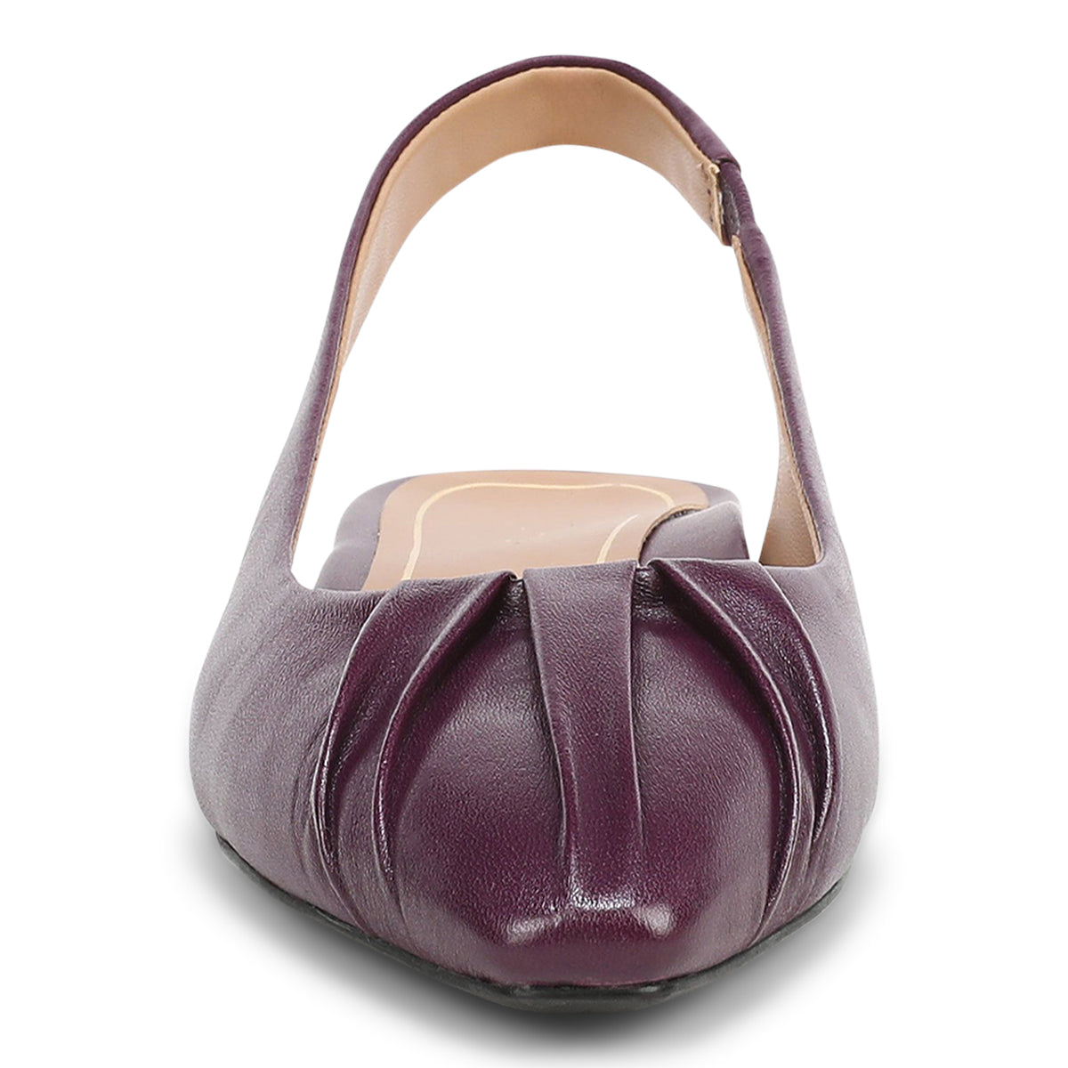 WINTER PLUM | Front