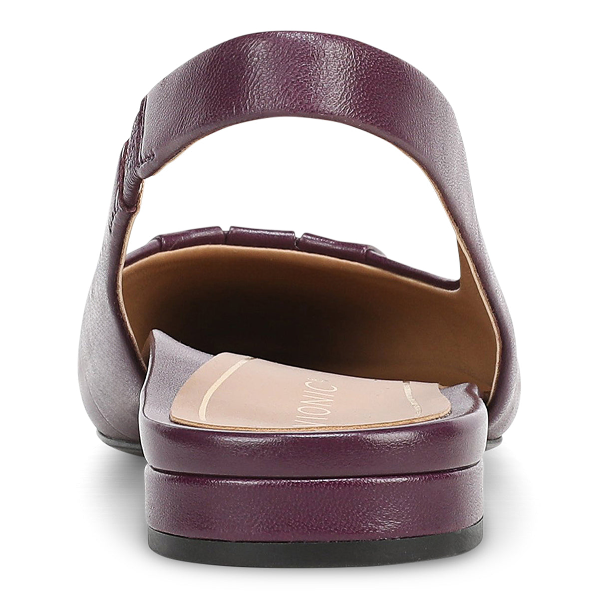 WINTER PLUM | Rear