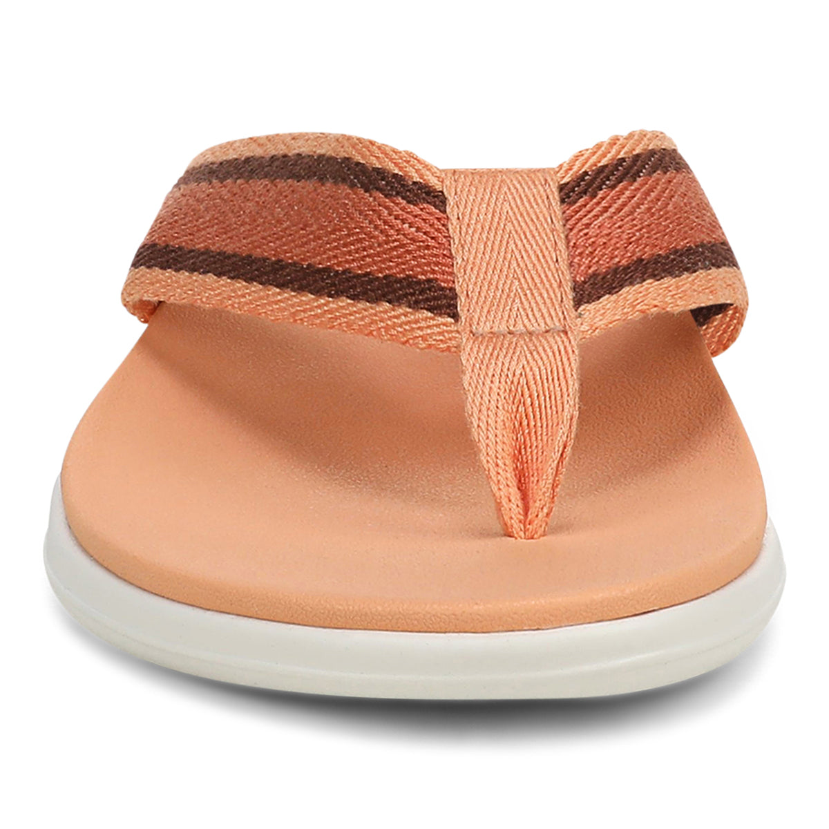 SHELL CORAL MULTI | Front