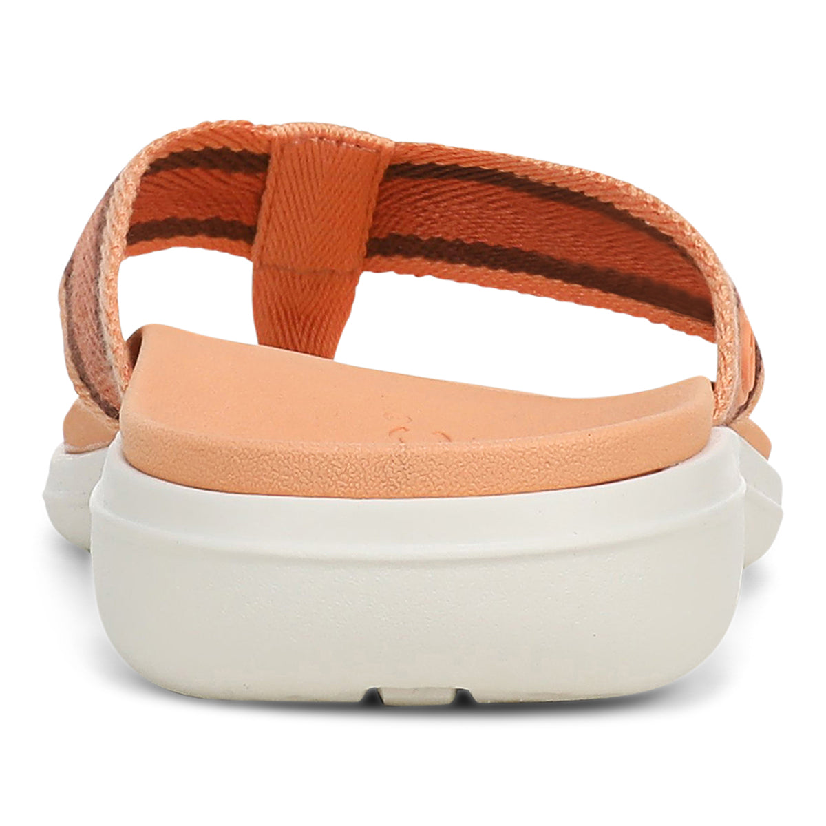 SHELL CORAL MULTI | Rear