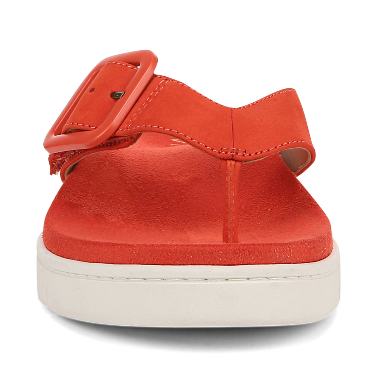 CHERRY TOMATO | Front