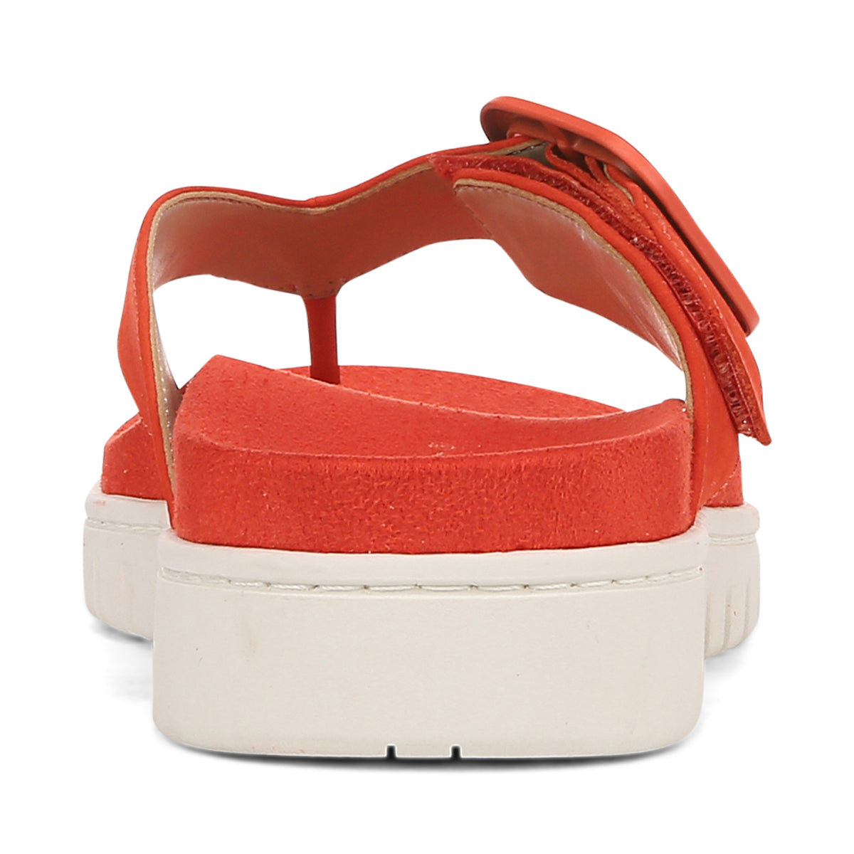 CHERRY TOMATO | Rear