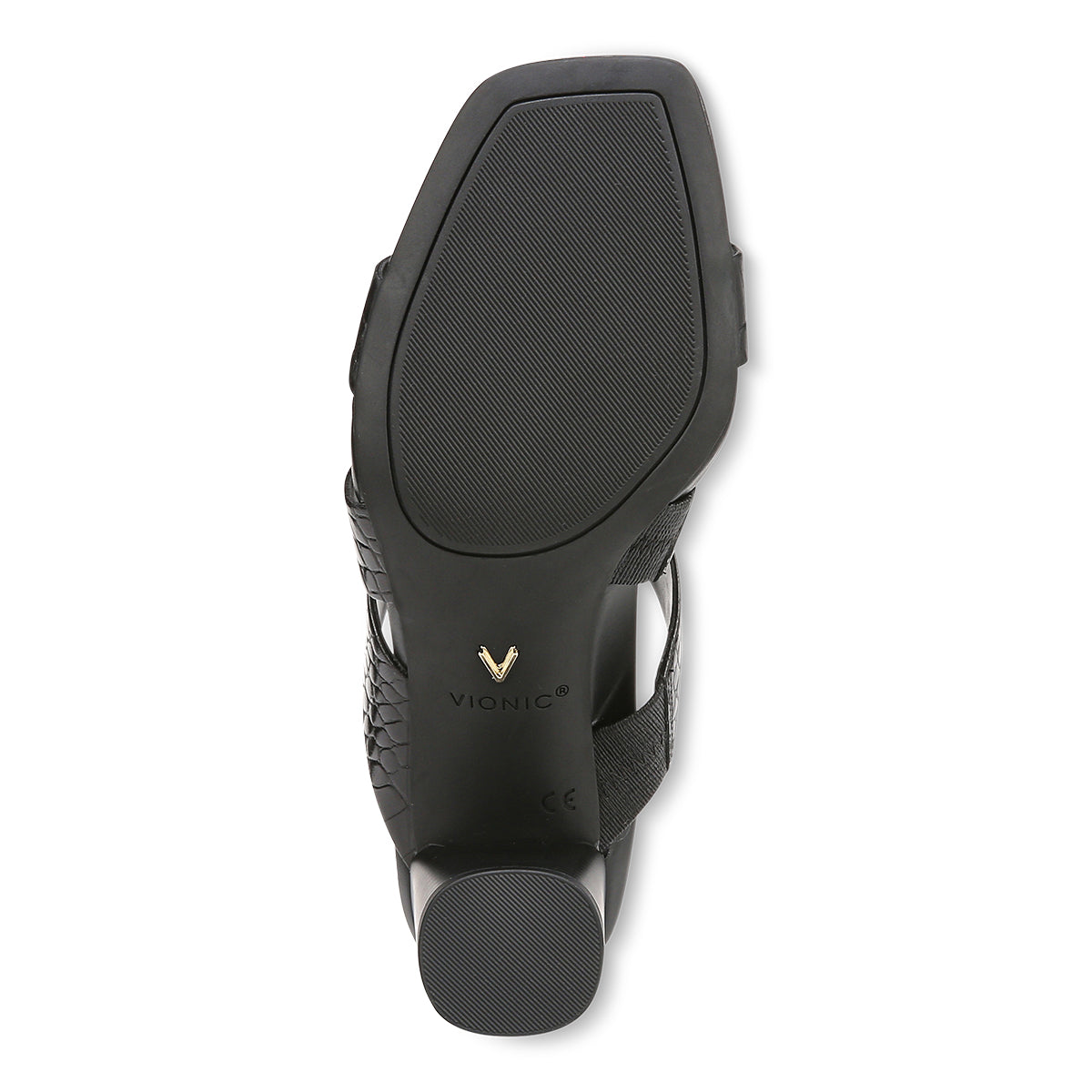 BLACK CROCO | Bottom