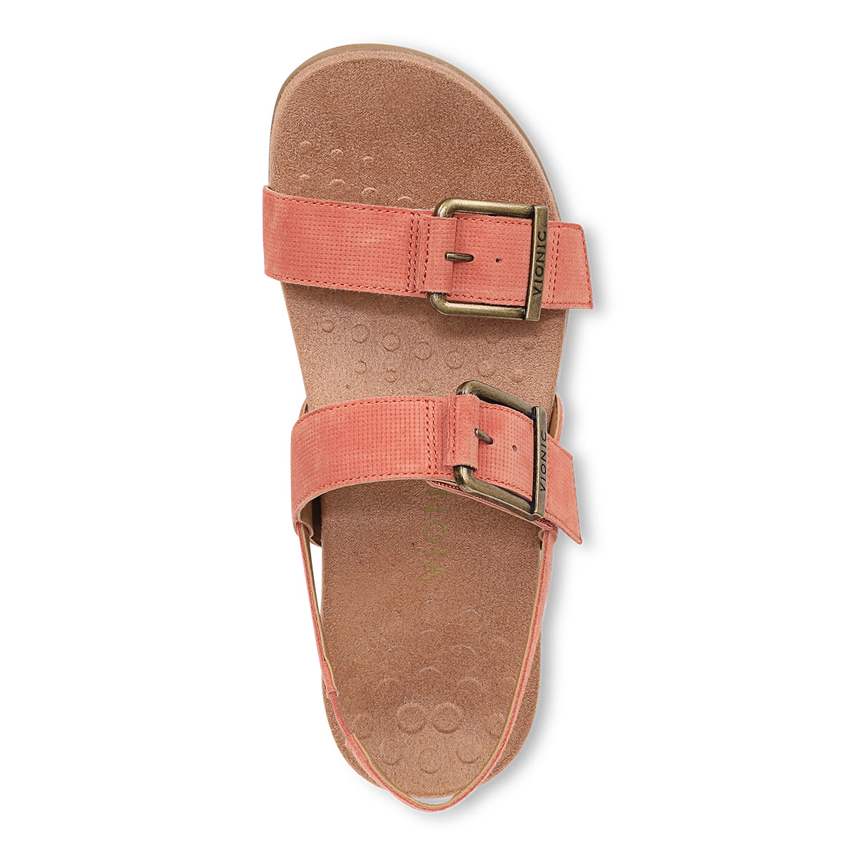 APRICOT BRANDY | Top